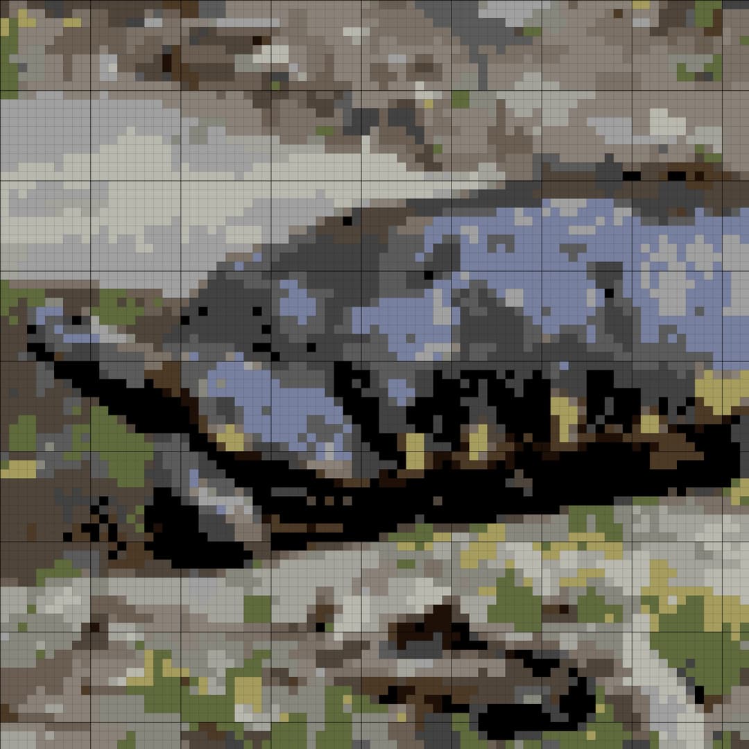 Red-Eared Slider Turtle cross-stitch pattern