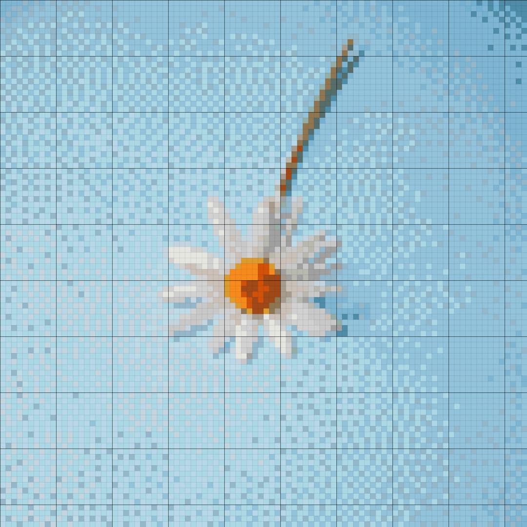 White Daisy cross-stitch pattern