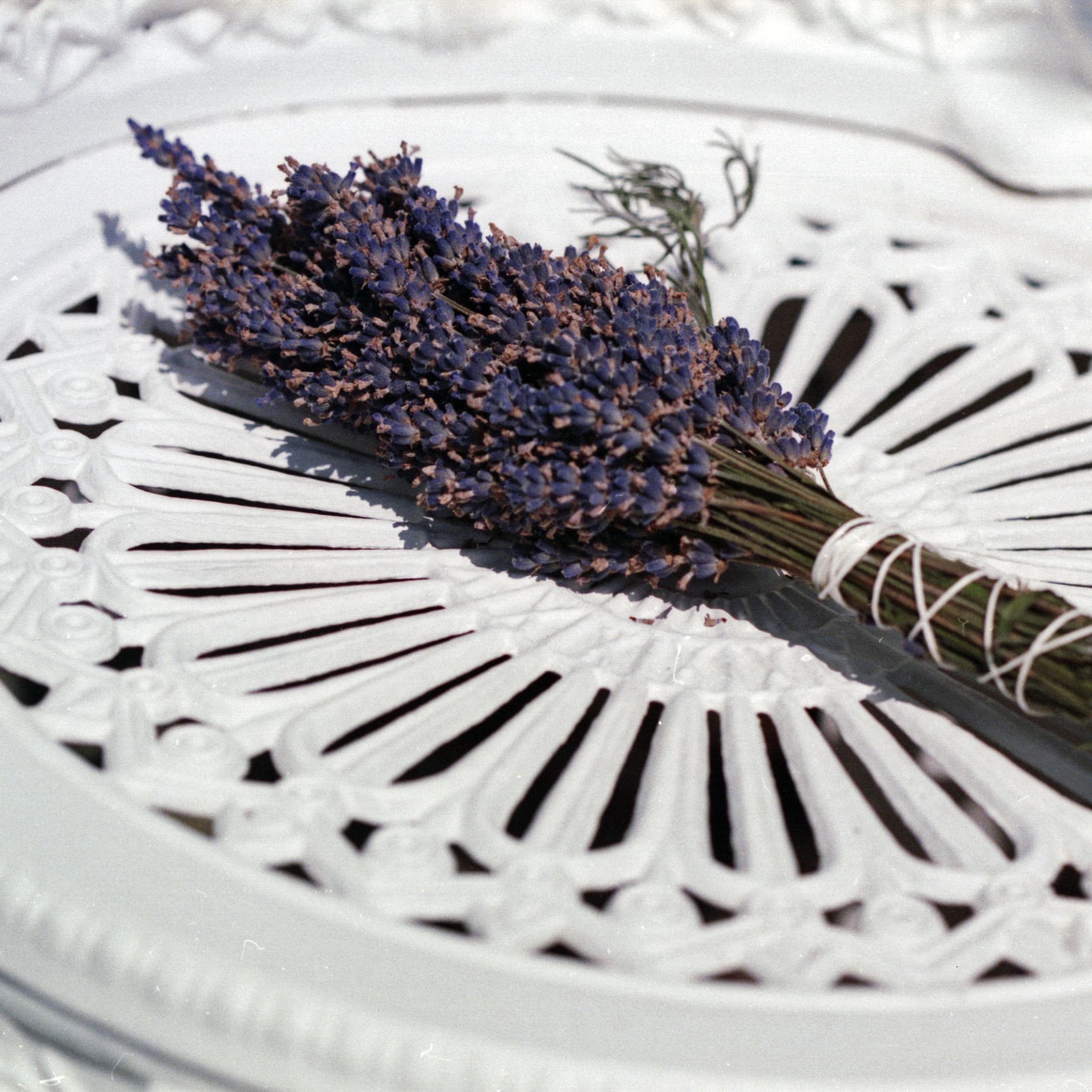 Original photograph of a lavender bouquet on a white plate